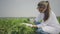 Female biologist inspecting pests