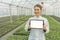 Female Biotechnology engineer tablet greenhouse. Plant seedlings