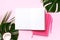Female blog writer workspace concept. Green monstera palm leaves, coconut on pink background with copy space. Banner. Flat lay,