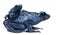 Female Blue and Black Poison Dart Frog