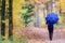 Female in blue with umbrella in the bright autumn colors