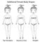 Female Body Shape Types. Top Hourglass, Round or Oval and Straight . Realistic Hand Drawn Doodle Style Sketch. Vector