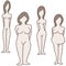 Female Body Types