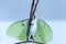 Female bright green luna moth Actias luna