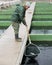 Female catching fish from reservoir on sturgeon farm