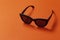 Female cats sunglasses