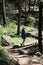 Female caucasian hiker wearing a hat walks on a trail, Yosemite National Park.