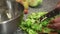 Female chef cook slices vegetarian salad of vegetables and lettuce.