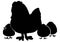 Female chicken or Hen with chicks icon, cock black silhouette baby chickens