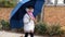 Female child is walking under an blue umbrella in a park .