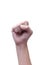 Female clenched fists raised in protest, isolated on a white background. Proletarian protest symbol