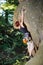 Female climber climbing with rope on a rocky wall