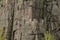 Female climber on a rock