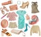 Female clothes collage.Women apparel set.Isolated.