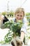 Female commercial gardener in market gardening or nursery with green apron watering plants