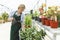 Female commercial gardener in market gardening or nursery with green apron watering plants