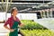 Female commercial gardener watering plants