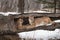 Female Cougars Puma concolor Lie in Log Paws Touching Winter