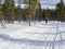 A Female cross-country skier in the Finland forest