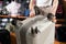 female customer choosing travel suitcase in haberdashery shop, wheels rollers suitcase