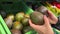 Female Customer Hand Choosing between two Avocados in Supermarket. Healthy food