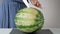 Female cutting watermelon in half on table with big knife