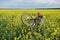 Female cyclist moves through a rapeseed field on foot, lifting her mountain bike on the rear wheel