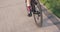 Female cyclist is speeding on road bike in sunshine. Bicycle wheel in motion. Woman is riding road bicycle in park. Bike wheel rot