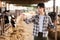 Female dairy farm worker count cows in a stall