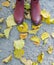 Female dark pink shoes on yellow leaves, grey background.