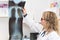 Female doctor examining radiography in the hospital