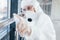 Female doctor scientist in lab coat, defensive eyewear and mask standing indoors with antibacterial spray