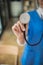 Female doctor in uniform holding a stethoscope waiting to examine a patient. A female doctor holds a stethoscope to prepare for