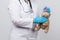 Female doctor in a white coat and blue latex gloves holds a brown teddy bear