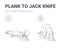 Female Doing Plank to Twist Jack Knife with Mini Fit Ball Home Workout Exercise Guide Illustration.