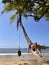 Female dressed blue swim suite lying and relaxing on the coconut palm tree trunk with hanging swing wheel and suntanning on the