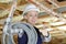 female electrician feeding cable into roof with thumbs-up