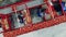 Female employees are sorting tomato boxes in a top view. Industrial packing equipment, factory facility.