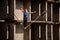 Female equilibrist balancing with one arm raised and other to the right on the slackline