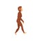 Female Erectus, Biology Human Evolution Stage, Evolutionary Process of Woman Vector Illustration