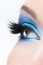 Female eye with bright blue make-up