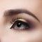 Female eye close-up. Perfect makeup and eyebrows. Beautiful gray eyes