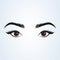 Female eye and eyebrow. sexy eyes Simple vector modern design illustration