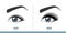 Female Eye Before and After Eyelash Extension. Comparison of Natural vs. Volume Eyelashes. Infographic Vector