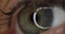 Female eye with green iris 4k movie