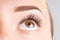 Female eye with long eyelashes. Classic 1D, 2D eyelash extensions and light brown eyebrow close up. Eyelash extensions, lamination