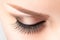 Female eye with long false eyelashes, beautiful makeup and light brown eyebrow
