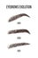 Female eyebrows evolution. Sable style brows shapes. Linear vector Illustration in trendy minimalist style. Brow bar