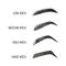 Female eyebrows. Various forms and types. Arch brows shapes. Linear vector Illustration in trendy minimalist style. Brow