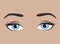 Female eyes with emotion. Look of the girl. Beautiful blue eyes with lashes and elegant eyebrows. Eyebrow tattoo